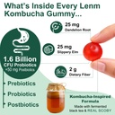 probiotic-kombucha-gummies-prebiotics-pr-3.jpg