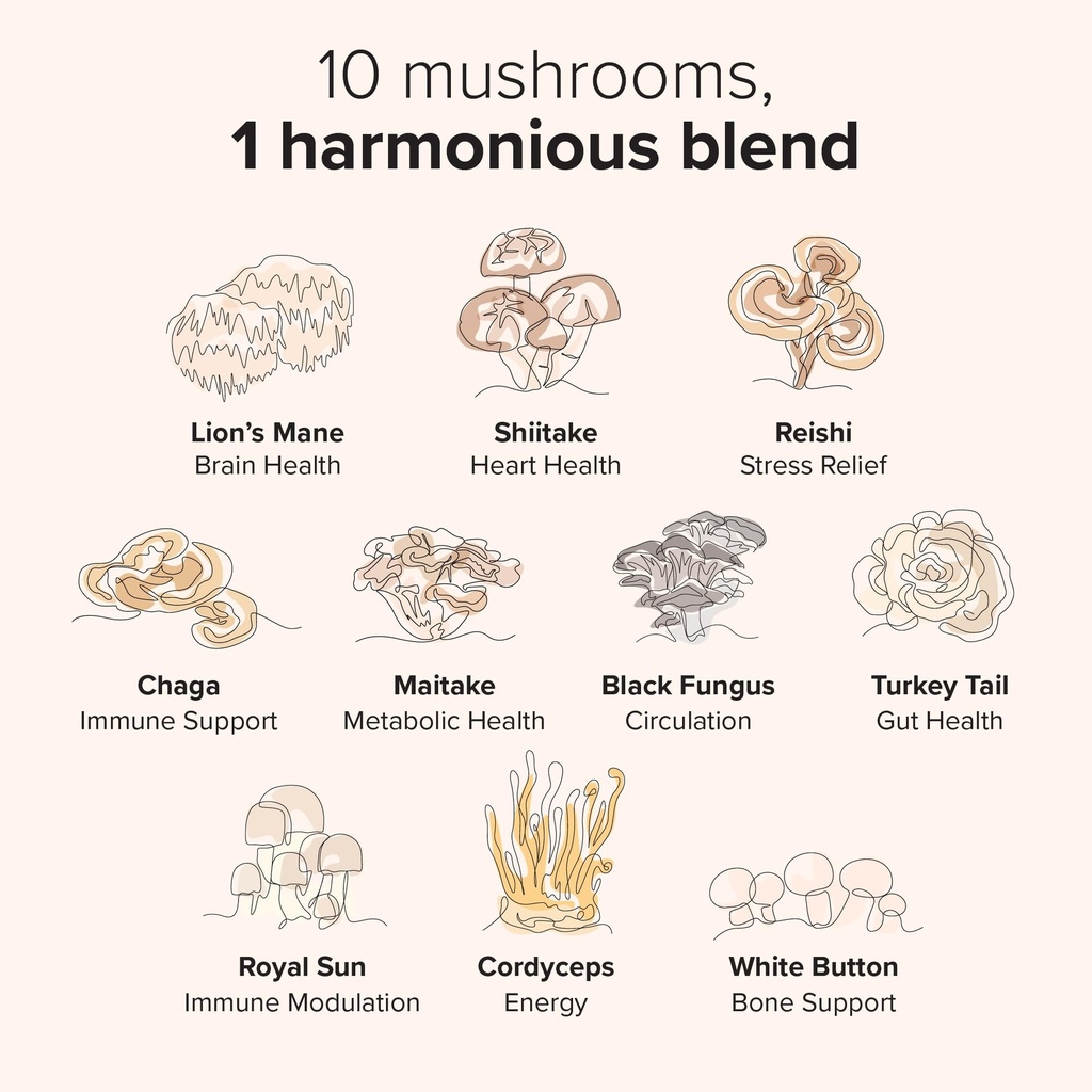 mushroom-gummies-harmony-blend-daily-mus-4.jpg