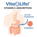 vita4life-vitamin-c-1000mg-with-zinc-bio-5.jpg