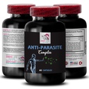 clean-experience-anti-parasite-complex-f-2.jpg