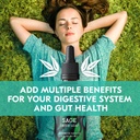 sage-extract-natural-dried-sage-suppleme-4.jpg
