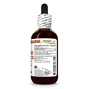 chinese-licorice-glycyrrhiza-uralensis-d-2.jpg