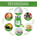 sea-moss-raw-15oz-natural-sea-moss-gel-w-6.jpg