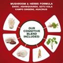 brain-support-supplement-liquid-drops-go-2.jpg