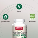 jarrow-formulas-mastic-gum-1000-mg-dieta-5.jpg