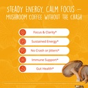 happy-healthy-hippie-fungi-fuel-mushroom-6.jpg