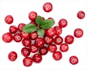 alerna-kidney-health-uric-acid-natural-a-5.jpg