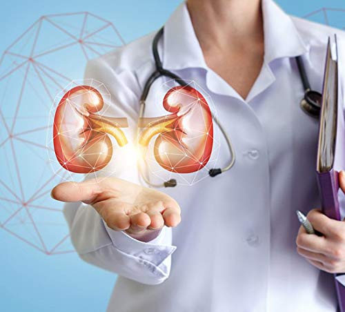 alerna-kidney-health-uric-acid-natural-a-3.jpg