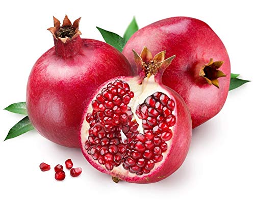 alerna-kidney-health-uric-acid-natural-a-4.jpg