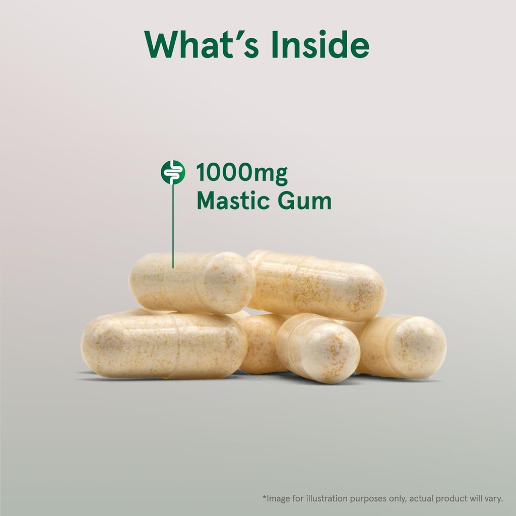 jarrow-formulas-mastic-gum-1000-mg-60-ve-3.jpg