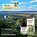 fito-medic-s-lab-horsetail-liquid-extrac-3.jpg
