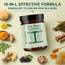 sea-moss-gummies-16-in-1-blend-with-ashw-3.jpg