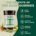 sea-moss-gummies-16-in-1-blend-with-ashw-5.jpg