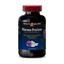 energy-and-focus-supplement-mucuna-pruri-2.jpg