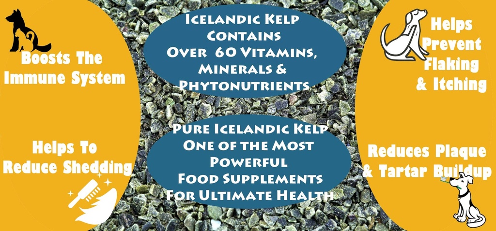 wolf-creek-ranch-icelandic-kelp-meal-loa-6.jpg