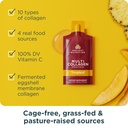 ancient-nutrition-multi-collagen-protein-3.jpg