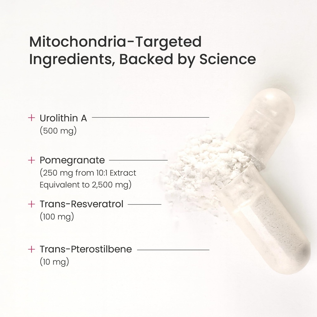 urolithin-a-advanced-mitochondrial-suppl-3.jpg