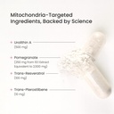 urolithin-a-advanced-mitochondrial-suppl-3.jpg