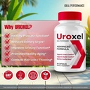 uroxel-capsules-advanced-uroxel-prostate-5.jpg