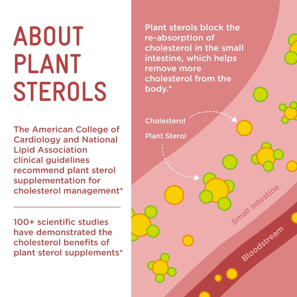 piper-ldl-cholesterol-health-plant-stero-6.jpg
