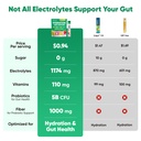 venture-pal-2-in-1-hydration-packets-gut-3.jpg