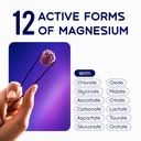 18-in-1-magnesium-complex-gummies-for-wo-4.jpg