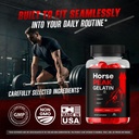 2-pack-horse-peak-gelatin-official-horse-5.jpg