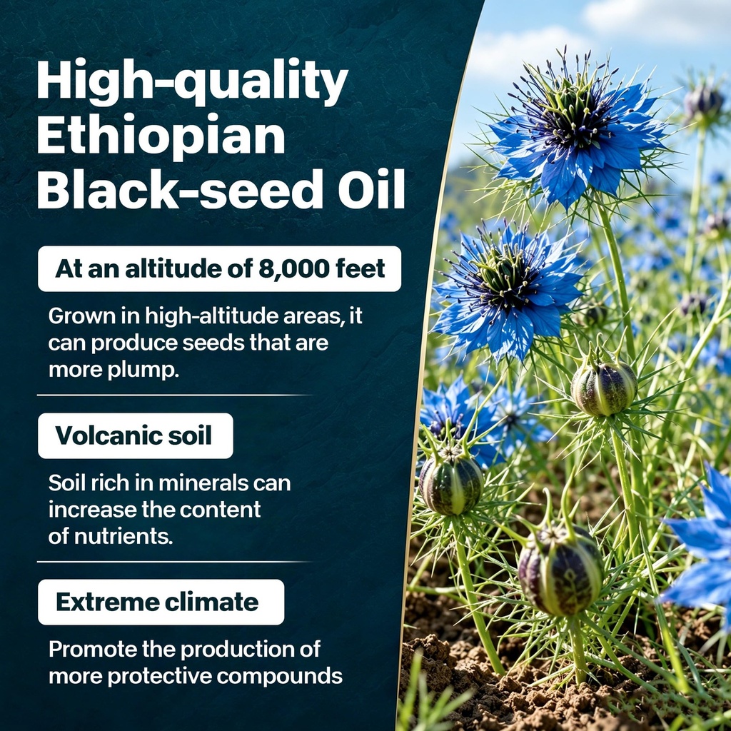 ethiopian-black-seed-oil-capsules-organi-3.jpg