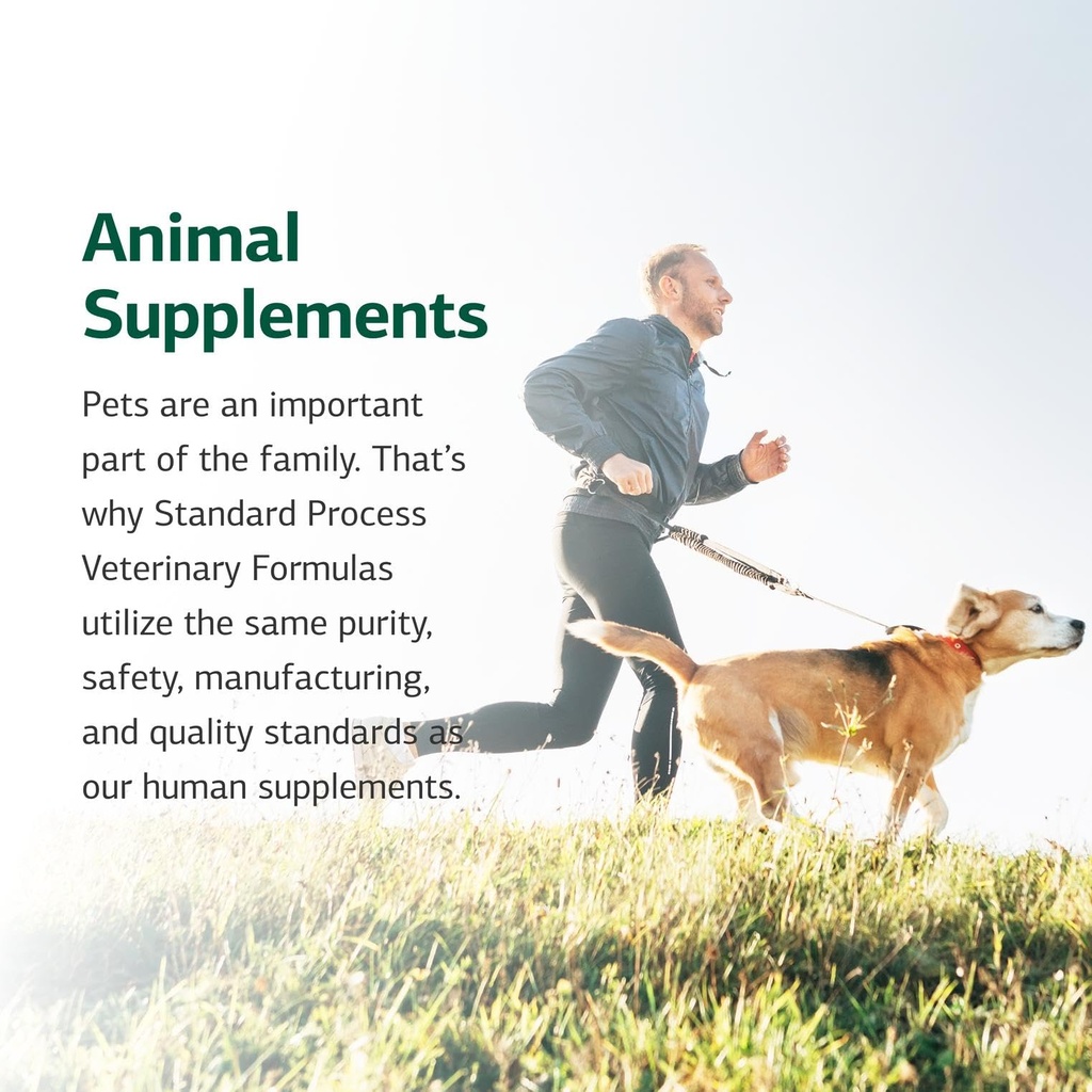 standard-process-inc-equine-gi-support-d-6.jpg