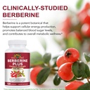 berberine-supplement-berberine-hci-1200--2.jpg