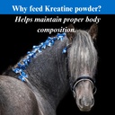 su-per-kreatine-energy-horse-supplement--5.jpg