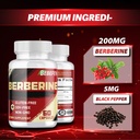 berberine-hcl-supplement-60-capsules-non-5.jpg