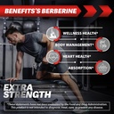 berberine-hcl-supplement-60-capsules-non-4.jpg