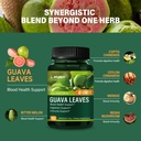 guava-leaves-hoja-de-guayaba-extract-sup-3.jpg