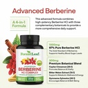 forestleaf-berberine-supplement-1300mg-p-3.jpg