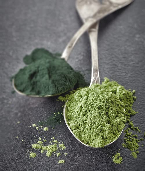 jovvily-wheat-grass-powder-1-lb-superfoo-6.jpg