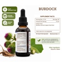 secrets-of-the-tribe-burdock-tincture-al-4.jpg