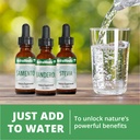 nutramedix-quina-herbal-extract-daily-im-6.jpg