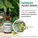 nutramedix-quina-herbal-extract-daily-im-5.jpg