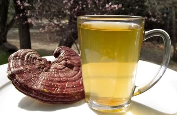 bodi-reishi-mushroom-powder-4oz-to-5lb-1-2.jpg