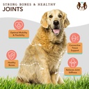 natural-dog-company-dog-supplements-for--5.jpg