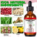 cat-uti-treatment-cat-urinary-tract-infe-5.jpg