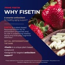 bone-science-prime-fisetin-98-flavonoid--4.jpg