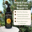 pi-on-pineal-spagyria-wild-harvested-pin-2.jpg