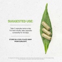 secrets-of-the-tribe-white-willow-capsul-3.jpg
