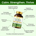 organic-veda-holy-basil-capsules-triple--5.jpg
