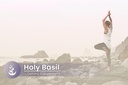 pure-original-ingredients-holy-basil-100-5.jpg