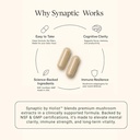 synaptic-lions-mane-mushroom-supplement--6.jpg
