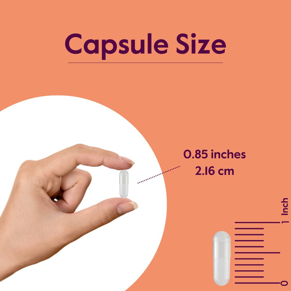 bestvite-dl-phenylalanine-500mg-240-veg--5.jpg
