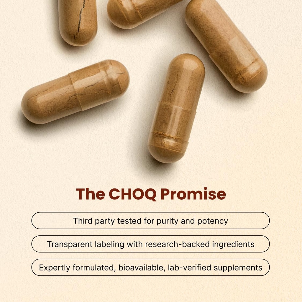 choq-daily-with-500mg-purified-shilajit--3.jpg